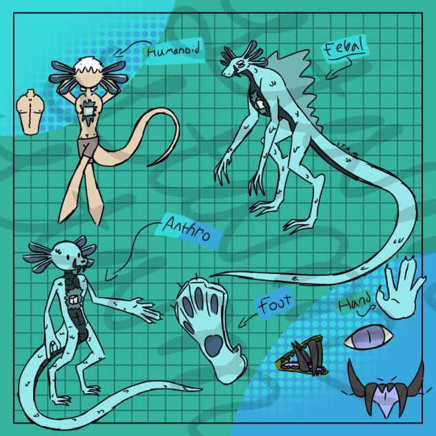 Zigor Indiscretion species(Mo’am)