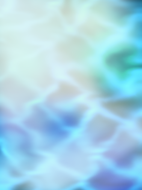 海