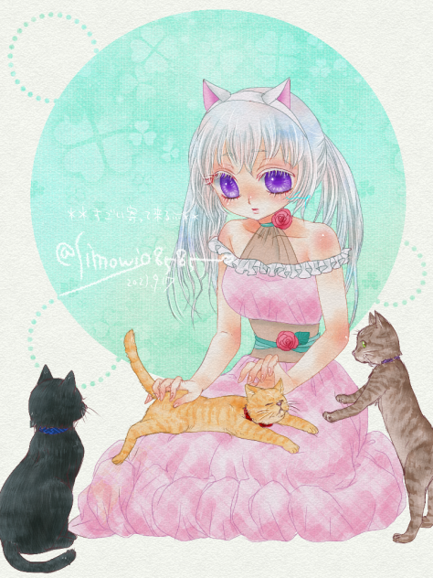 猫カフェの猫がすごい寄ってくる…🐱❤️