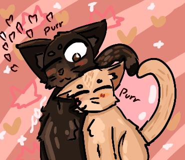 Cats in love ❤️