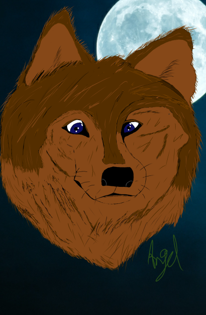 Wolf - ibisPaint