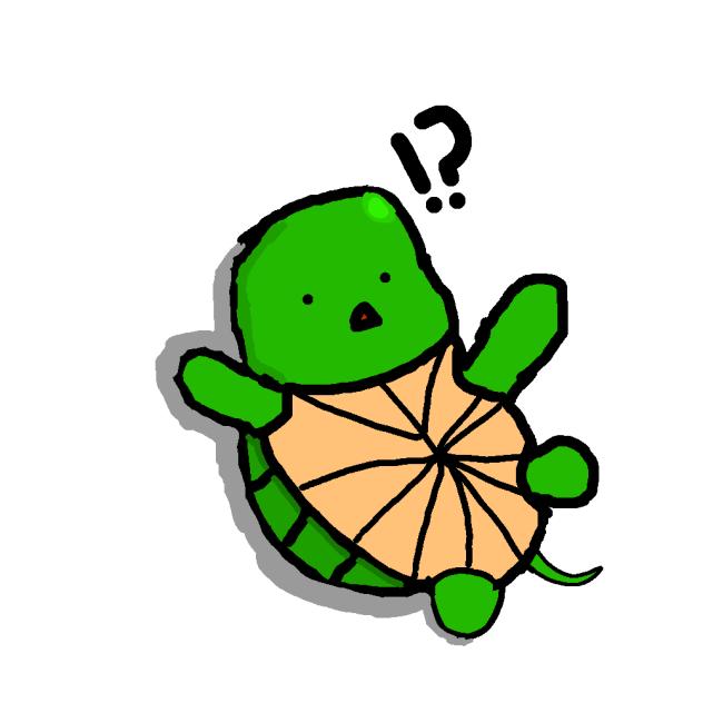 The fallen Turtle