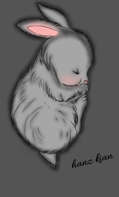 a sleeping bunny 🐰