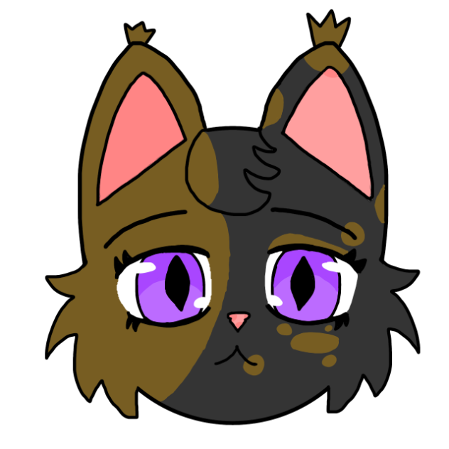 ✨BLEEP✨