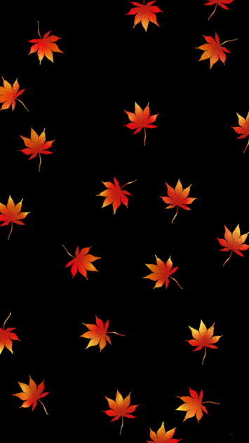 紅葉（黒）