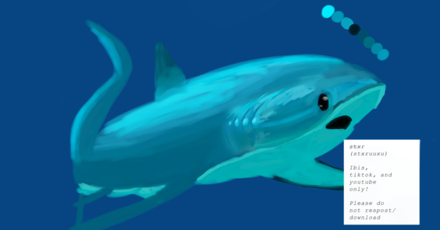 🦈