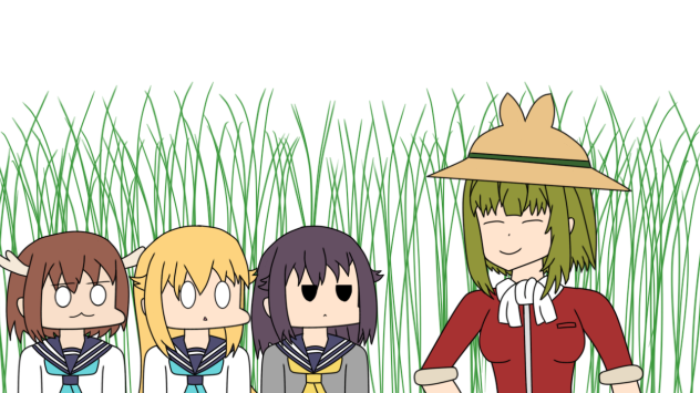Bashames rice field