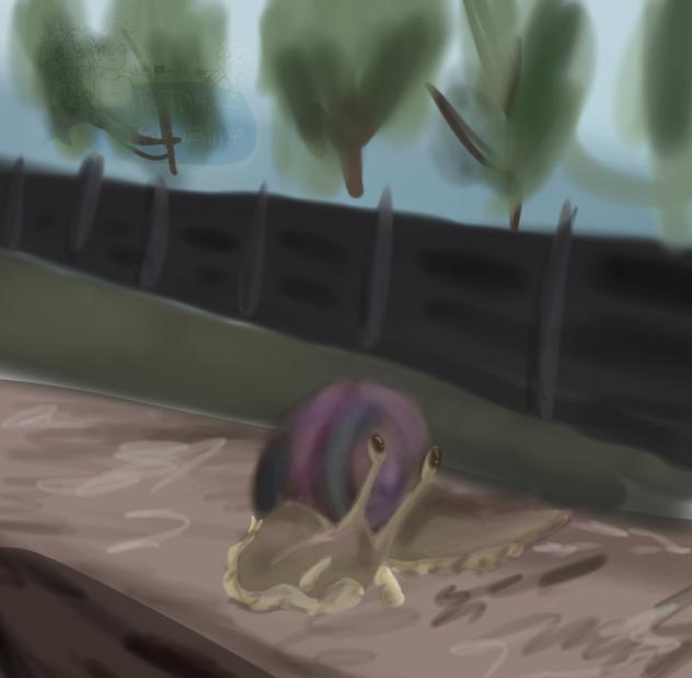 snel