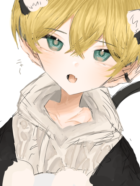 ニャー(⌒▽⌒)