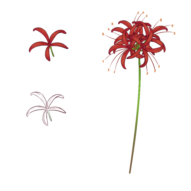 Spider Lilies [free-to-use]
