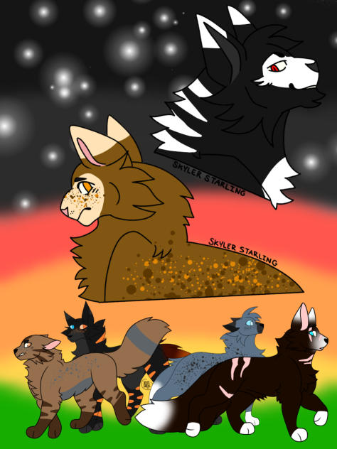 Shattered Stars