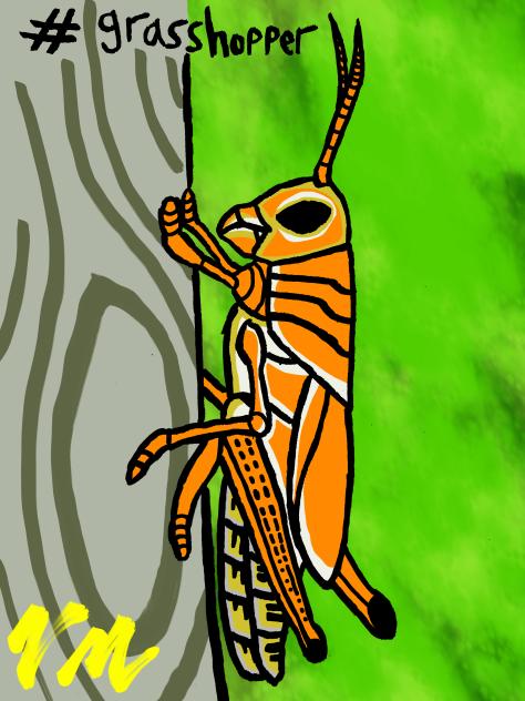 Grasshopper