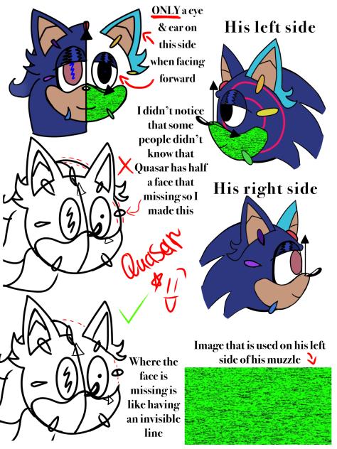 Quasar’s head anatomy