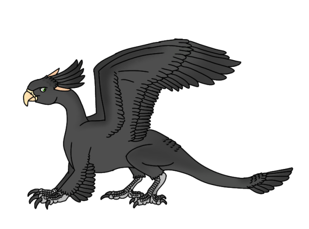 Vasa Parrot Griffin