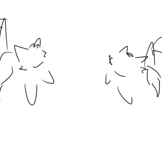 SHORT CAT FIGHT⁉️⁉️