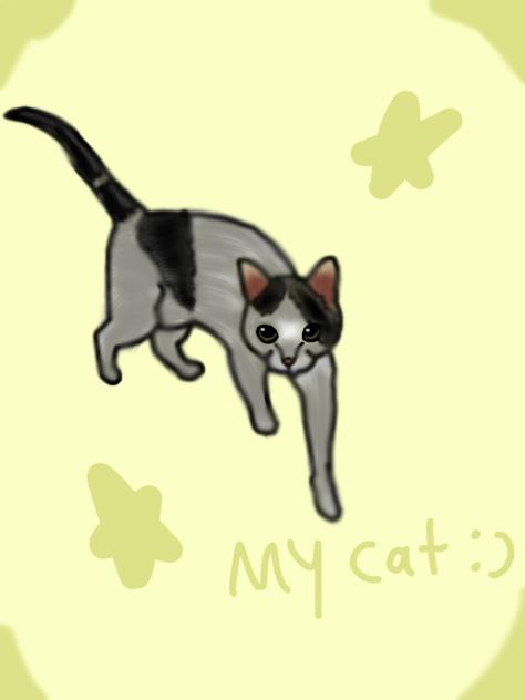 my cat (her name is vanilla)
