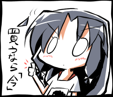 買うなら増税前(もう増税したけど