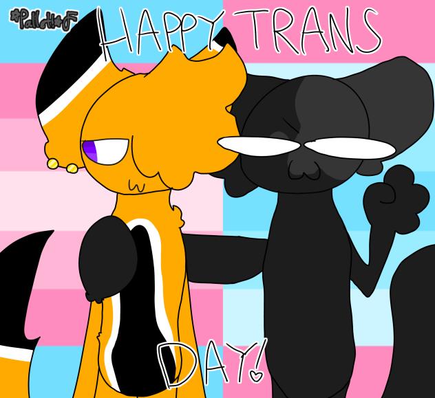 HAPPY TRANS DAY!