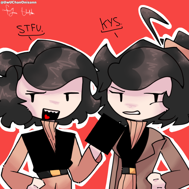 when you insulted the twins