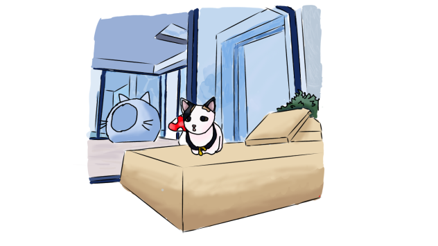 Gato