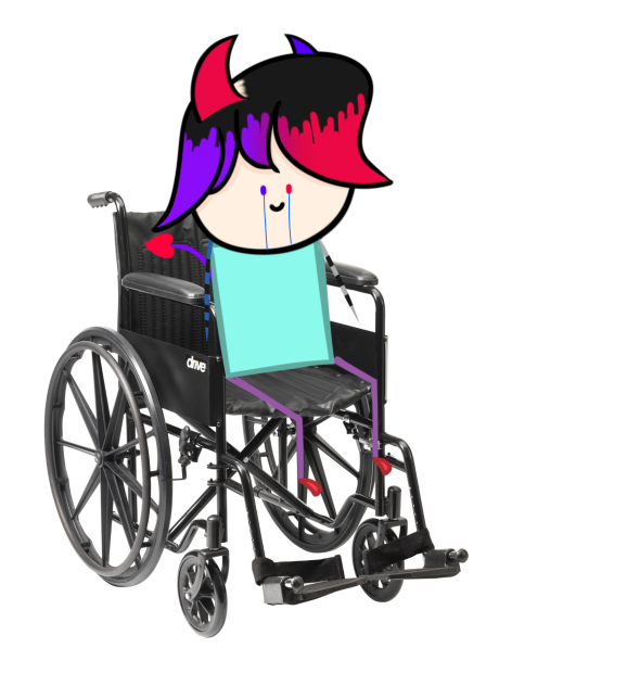 I'm in a wheelchair