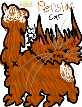Cat #3