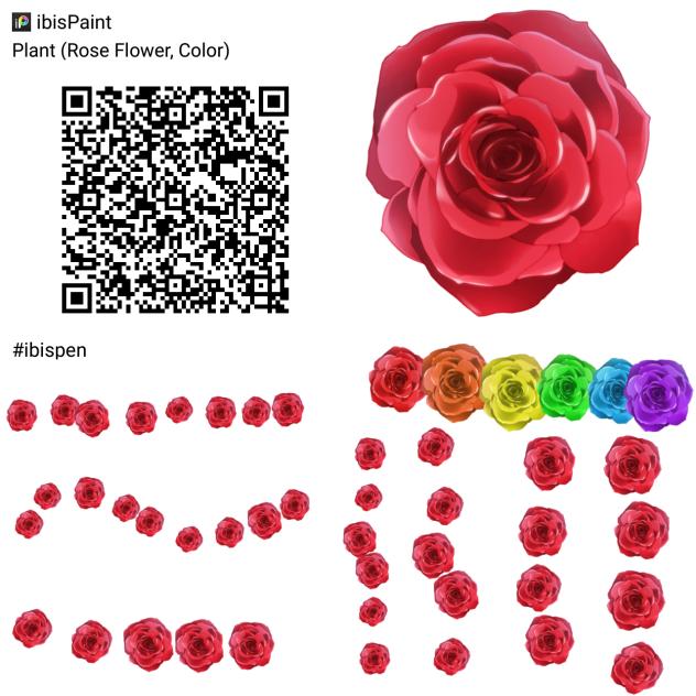 Rose Flower Plant (Color)