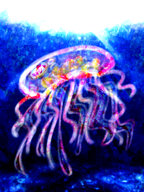 🌸Jellyfish🌸