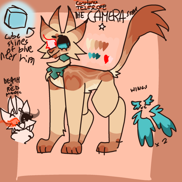 The Camera Star ref