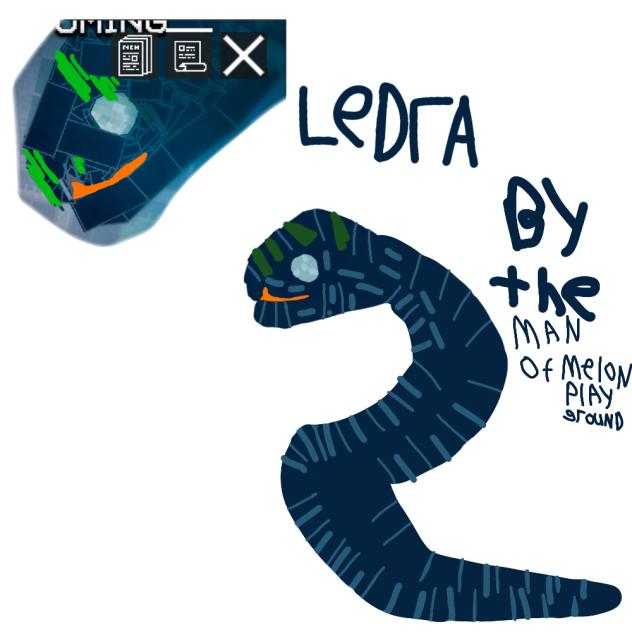 ledra