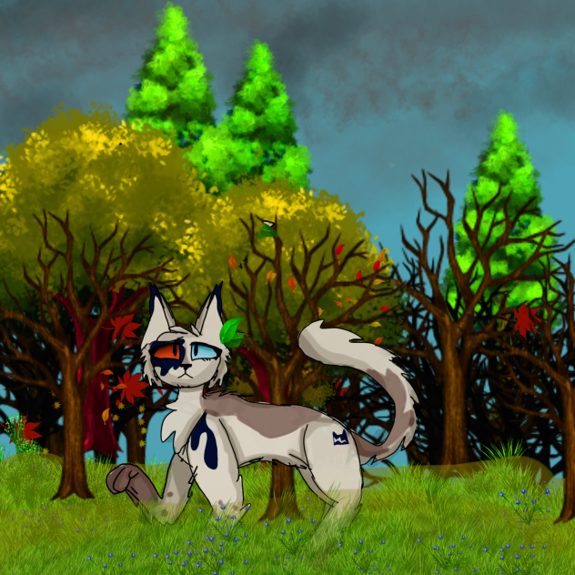 Warrior cat oc