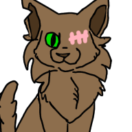 Random warrior cat