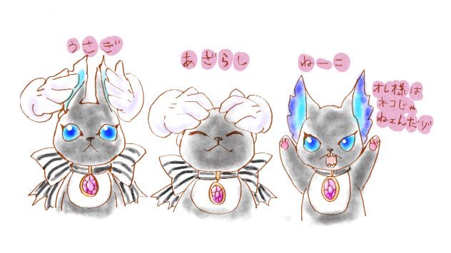 うさぎアザラシねこ