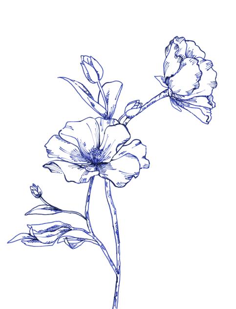 Flowe Ink ink flowers 1 - ibisPaint