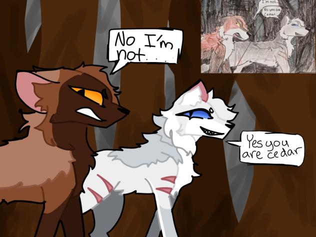 Wolfhearts choice contest