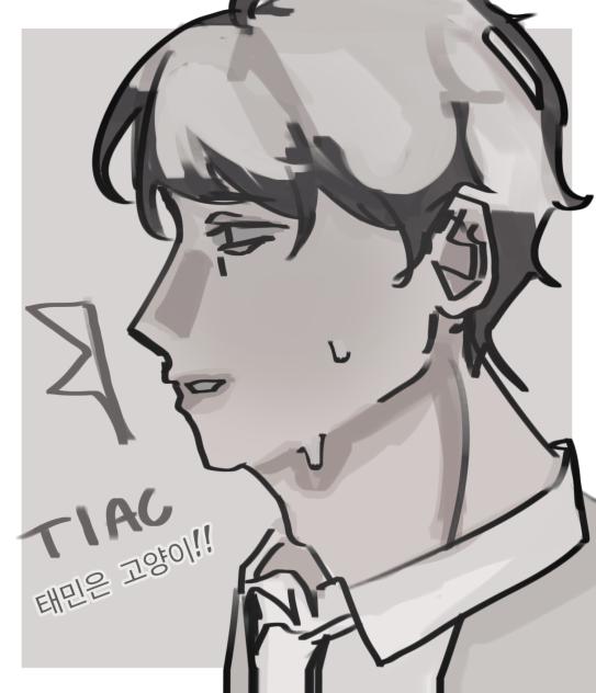 Random Sketch