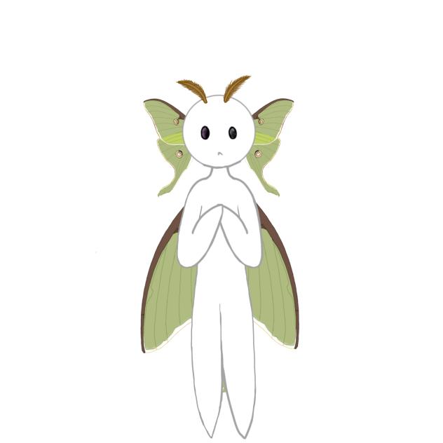 Character with moth wings on head