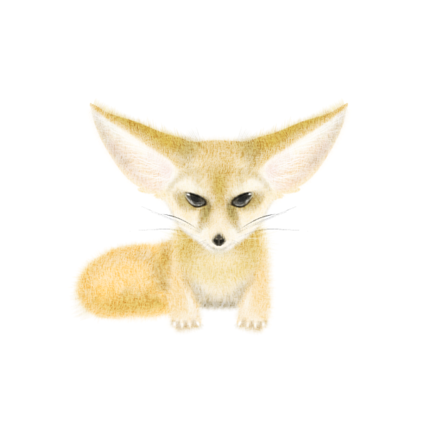 フェネック