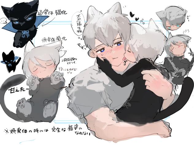 猫姿