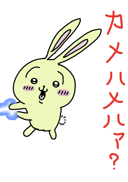ちいかわ うさぎカメハメハァ？