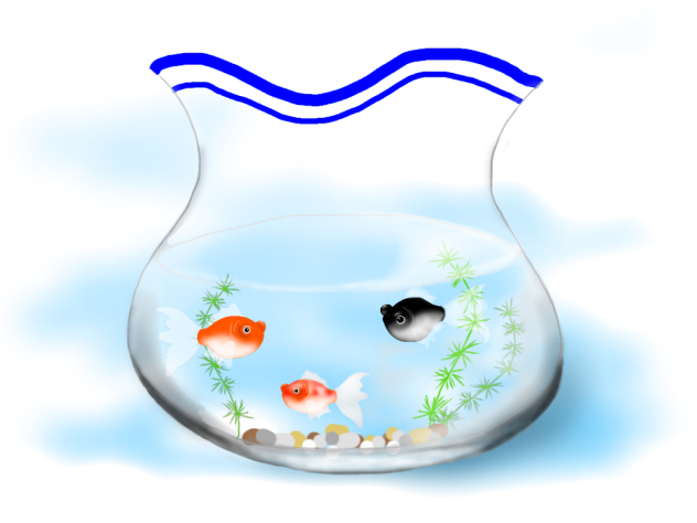 金魚1