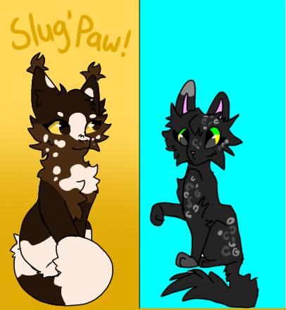 Hollyleaf338's warrior cat oc challenge!