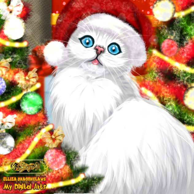 ❄🎄🐱🎁