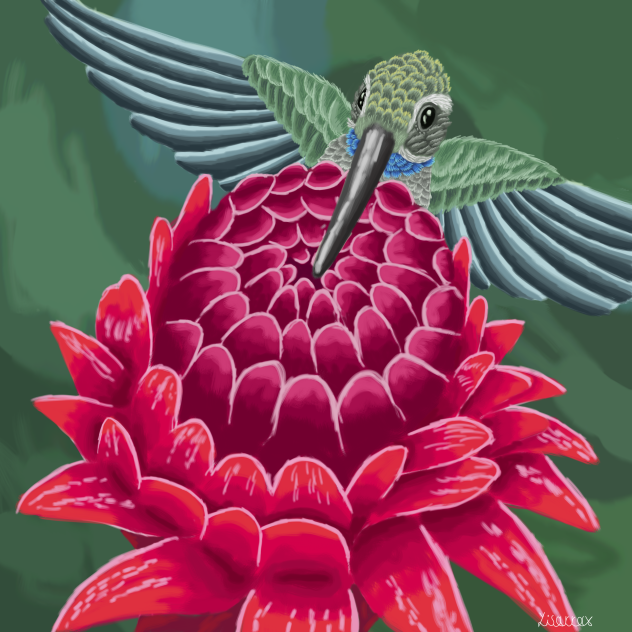 torch flower and hummingbird