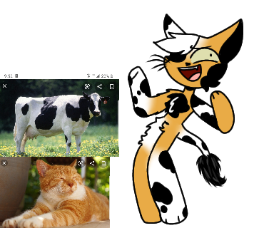 Meow cow