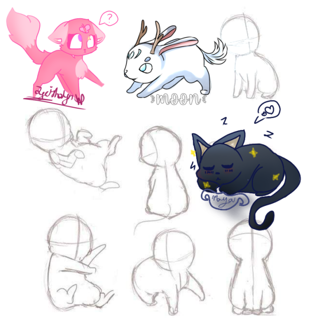 Pet collab