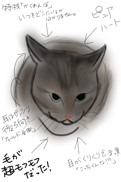 ししゃもさんが珍しく触らせてくれた