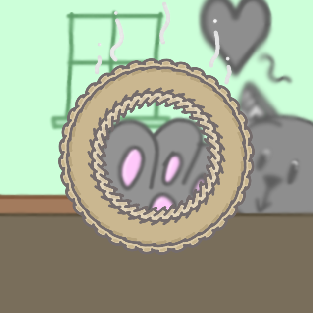 Kitten with a  Rare crossaint