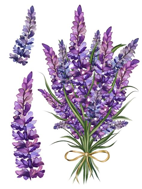 lavender bouquet 1