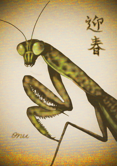 迎春